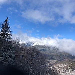 Meet your Posher, Addison